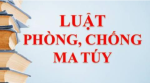 Những điểm mới của Luật Phòng, chống ma túy (sửa đổi)